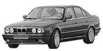 BMW E34 P254B Fault Code